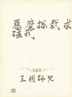 恶魔总裁求你别碰我