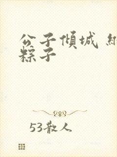 公子倾城 维和粽子