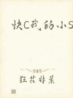 快C我的小SB