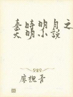 秦时明月之夜尽天明小说