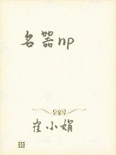 名器np
