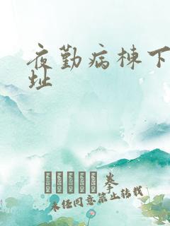 夜勤病栋下载地址