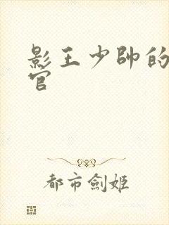 影王少帅的女长官