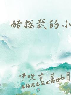 酷总裁的小女佣