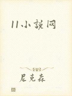 11小说网