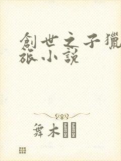 创世之子猎艳之旅小说