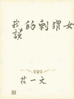 我的刺猬女孩小说