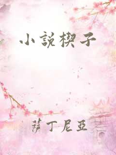 小说楔子