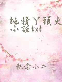 纯情丫头火辣辣小说txt