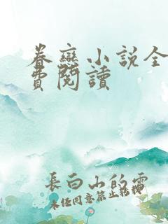 眷恋小说全文免费阅读