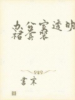 办公室透明半身裙套装