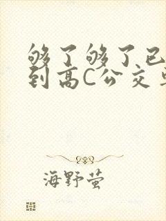 够了够了已经满到高C公交车