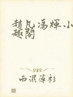 赵凡冯辉小说笔趣阁