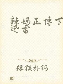 辣妈正传下载 迅雷