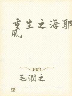 重生之海耶斯旋风