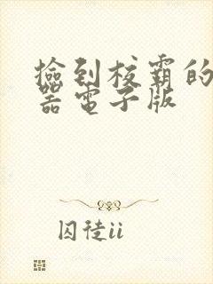 捡到校霸的遥控器电子版