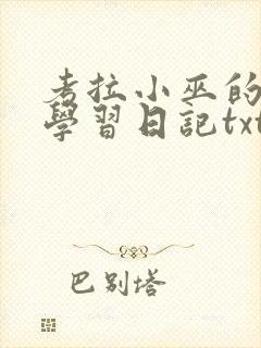 考拉小巫的英语学习日记txt
