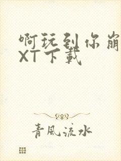 啊玩到你崩溃TXT下载