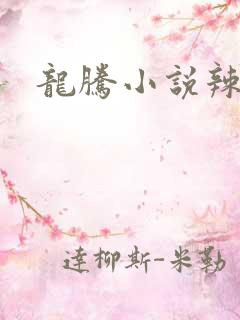 龙腾小说辣文网