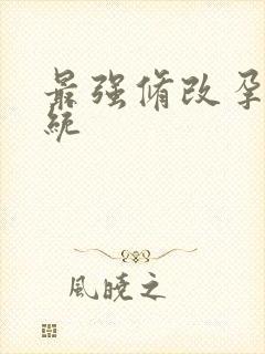 最强修改孕妇系统