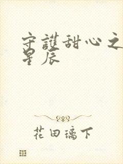 守护甜心之暗夜星辰