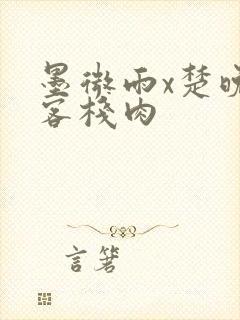 墨微雨x楚晚宁客栈肉