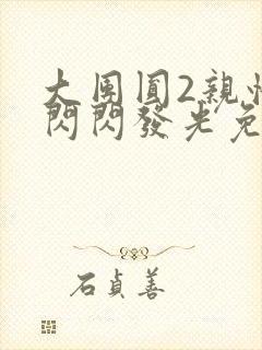 大团圆2亲情会闪闪发光免费