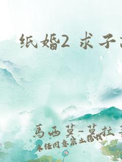 纸婚2 求子记
