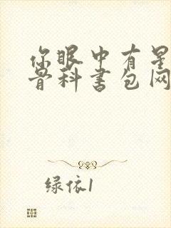 你眼中有星辰h骨科书包网