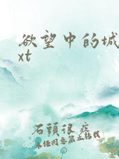 欲望中的城市txt