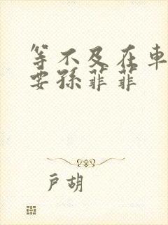 等不及在车里就要孙菲菲