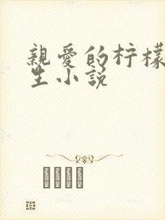 亲爱的柠檬精先生小说