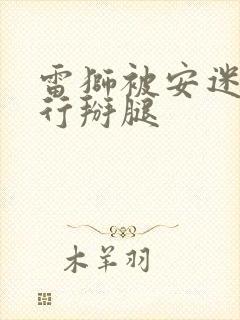 雷狮被安迷修强行掰腿