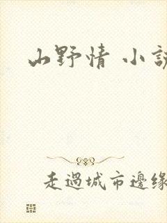 山野情 小说