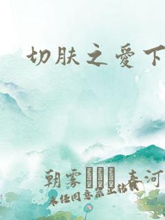 切肤之爱下载