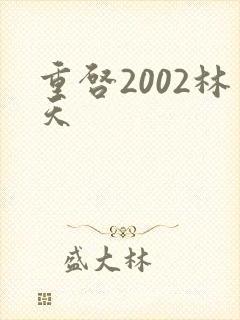重启2002林天