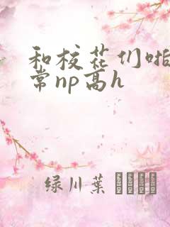 和校花们啪啪日常np高h