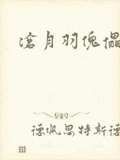 沧月羽傀儡之城