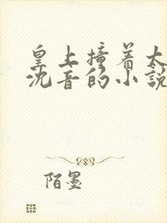 皇上撞着太子妃沈音的小说叫什么