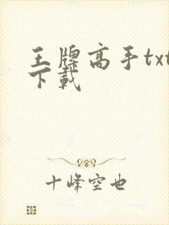 王牌高手txt下载
