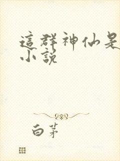 这群神仙是假的小说