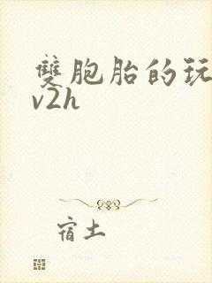 双胞胎的玩具1v2h