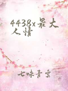 4438x最大人情