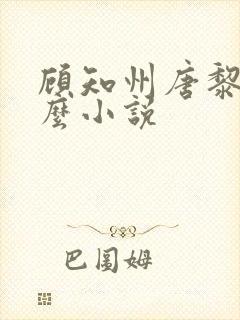 顾知州唐黎叫什么小说