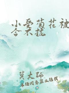 小受菊花被双龙合不拢