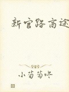 新官路商途