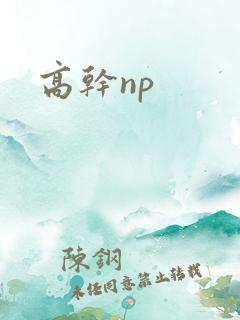 高干np