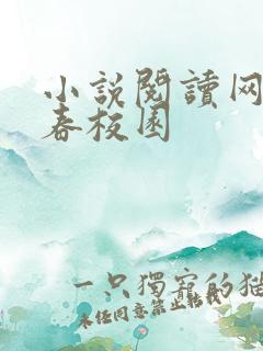 小说阅读网 青春校园