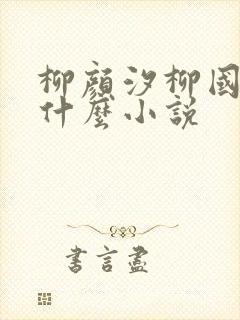 柳颜汐柳国安是什么小说