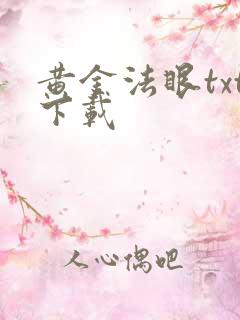 黄金法眼txt下载